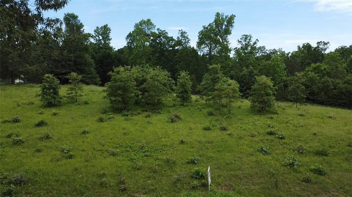 9015 Fairview Church Road, Seneca, South Carolina image 10