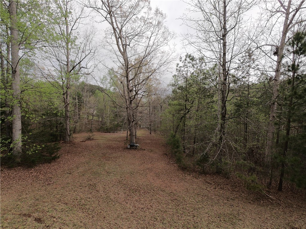 9015 Fairview Church Road, Seneca, South Carolina image 3