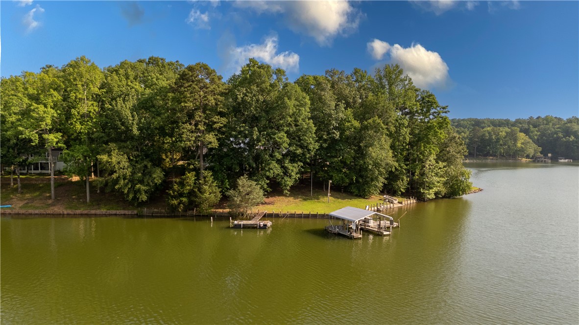 345 P. Cromer Road, Abbeville, South Carolina image 28