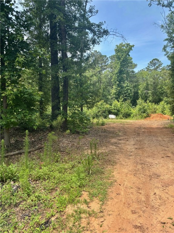 225 Rayven Street, Anderson, South Carolina image 1