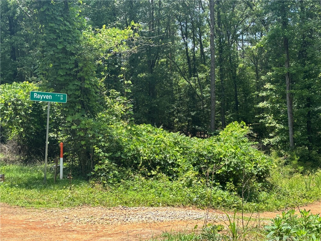 225 Rayven Street, Anderson, South Carolina image 6