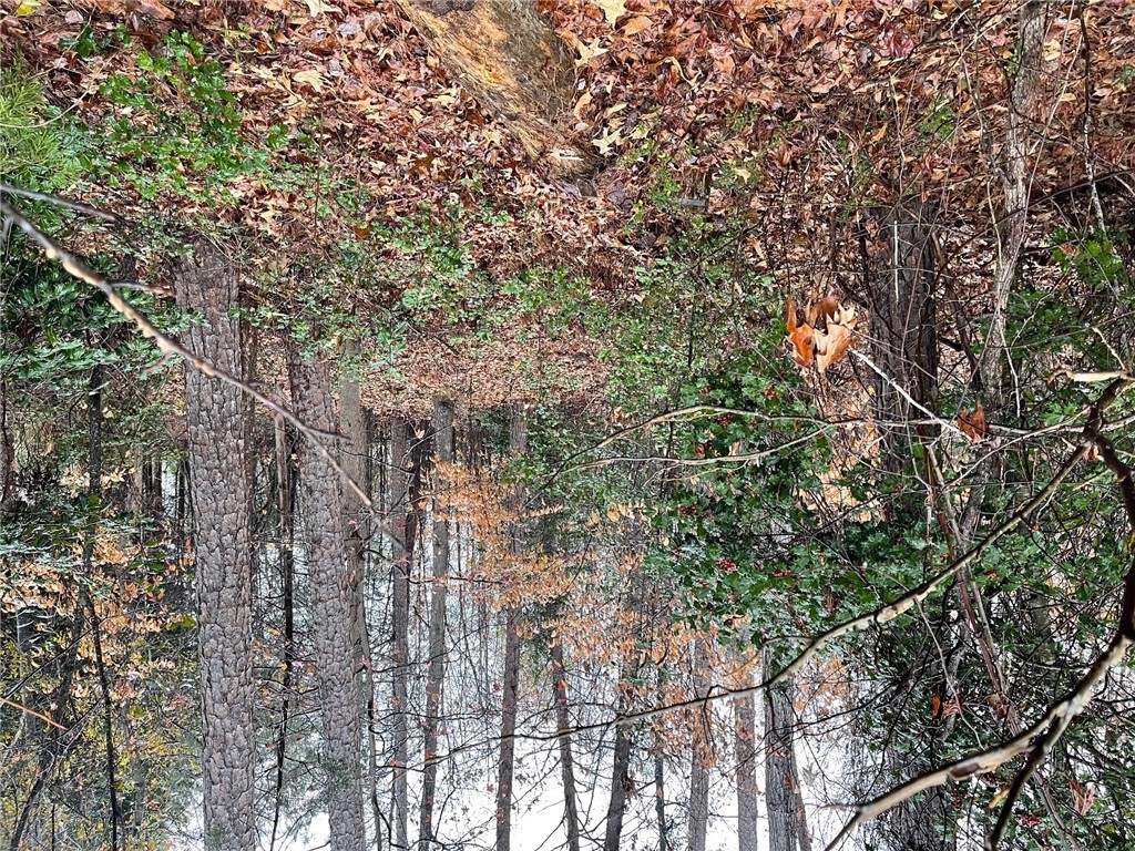 Lot 1043 Chickasaw Drive, Westminster, South Carolina image 2
