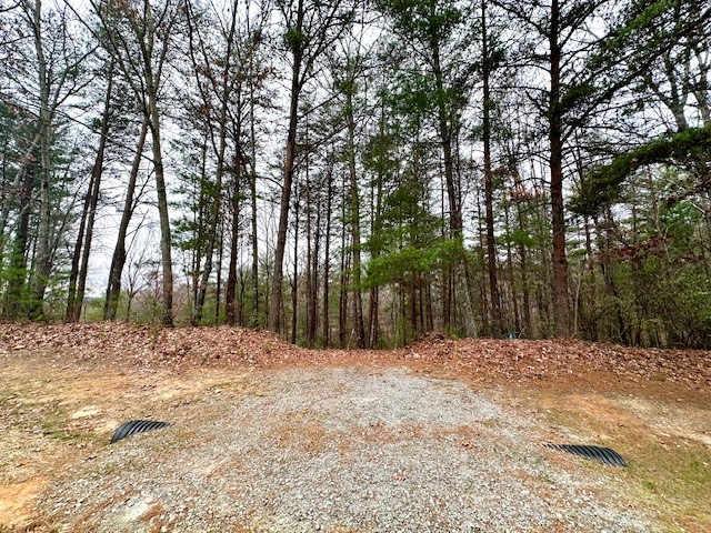 Lot 160 Keowee Vineyards Drive, Sunset, South Carolina image 2