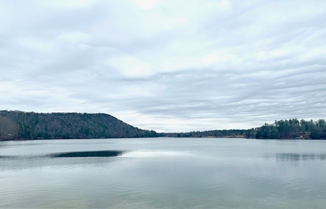 Lot 160 Keowee Vineyards Drive, Sunset, South Carolina image 3