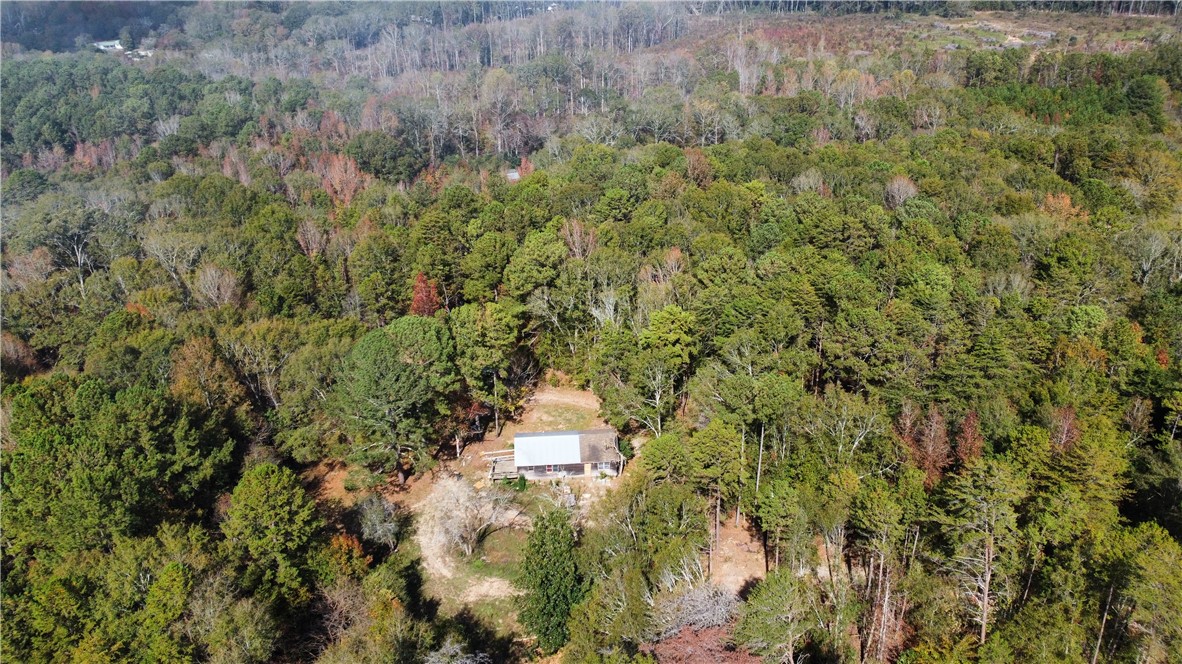 1305 Wilton E Hall Road, Starr, South Carolina image 1