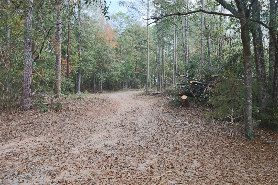 1305 Wilton E Hall Road, Starr, South Carolina image 11
