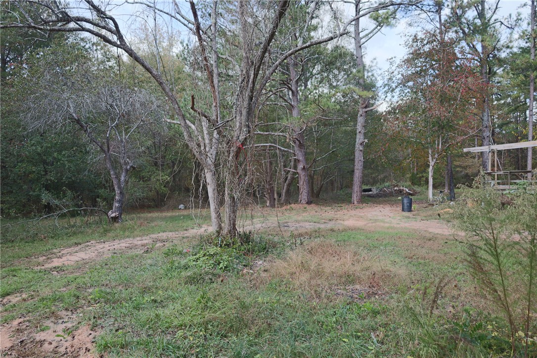 1305 Wilton E Hall Road, Starr, South Carolina image 12