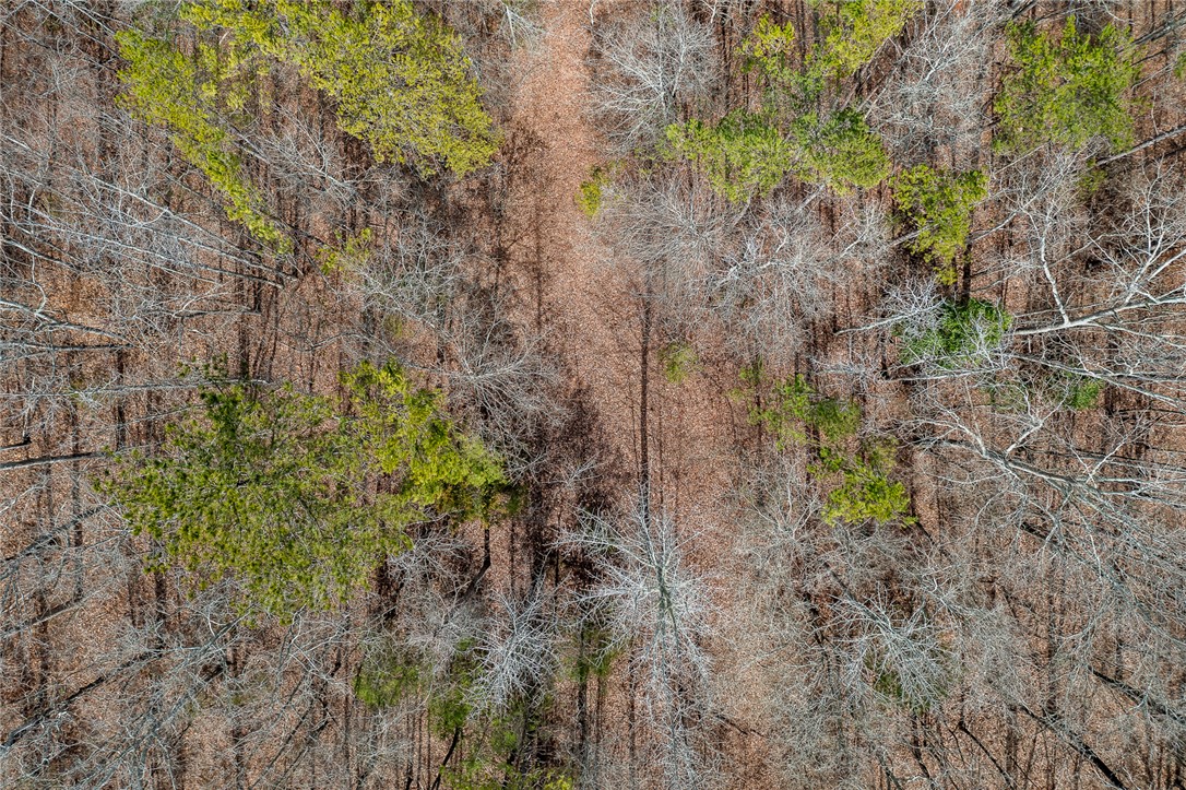 00 Varennes Church Road, Iva, South Carolina image 13