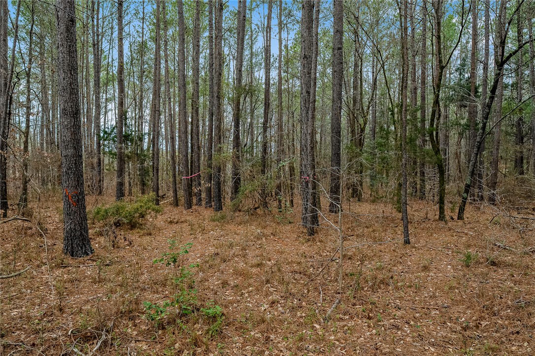 00 Varennes Church Road, Iva, South Carolina image 14