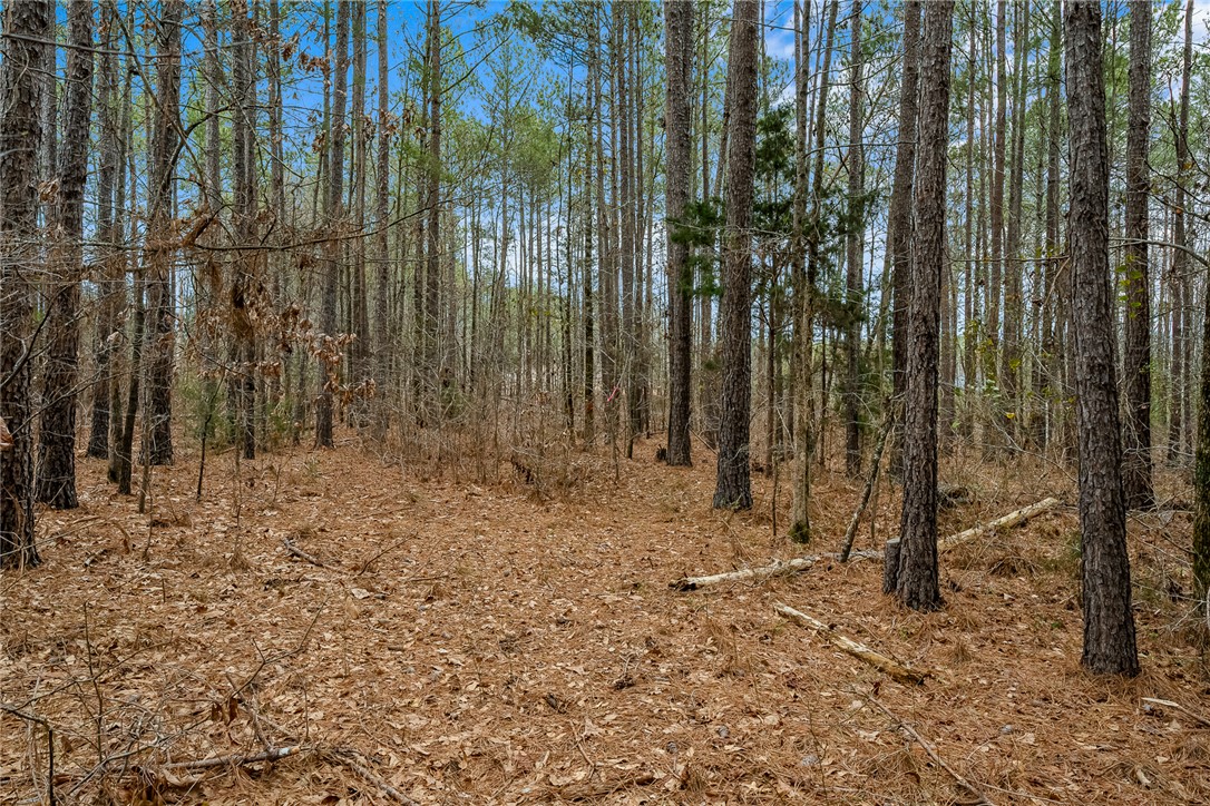00 Varennes Church Road, Iva, South Carolina image 15