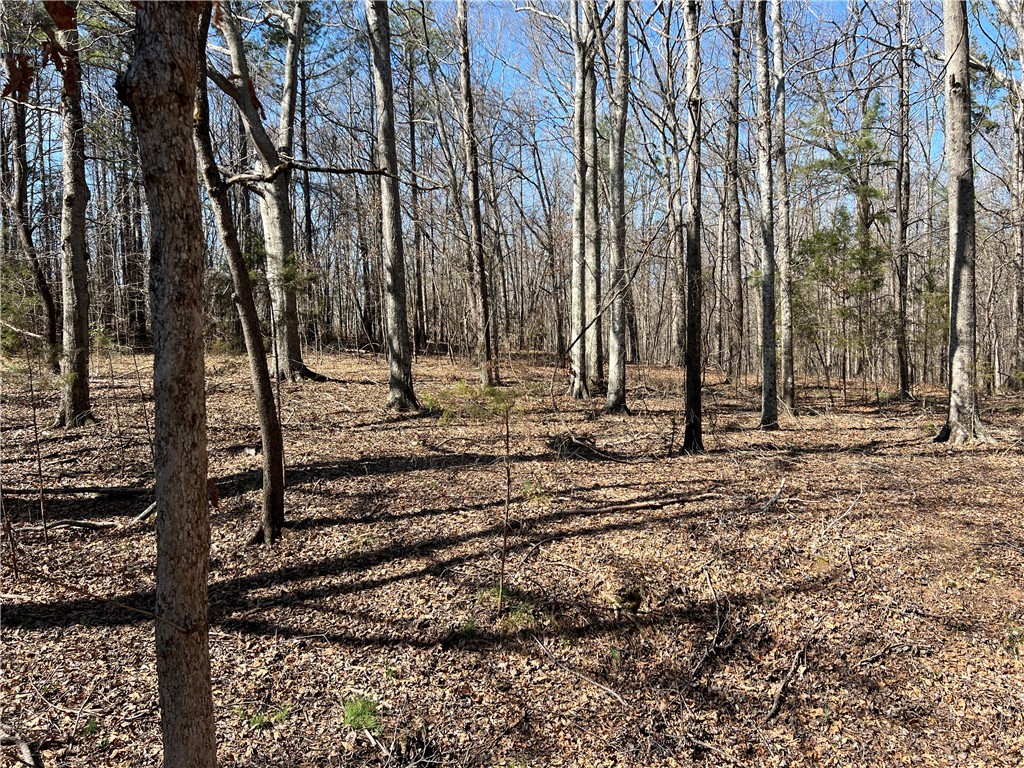 Lot 1 Town Creek Drive, Anderson, South Carolina image 2