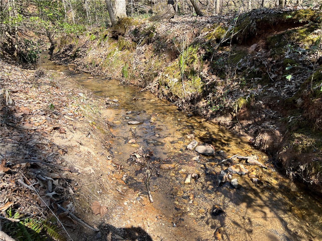 Lot 1 Town Creek Drive, Anderson, South Carolina image 3