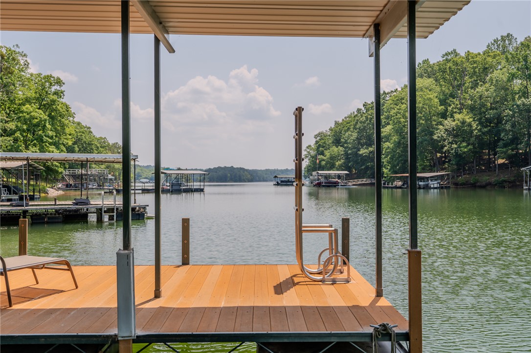 134 Rochester Road, Townville, South Carolina image 45