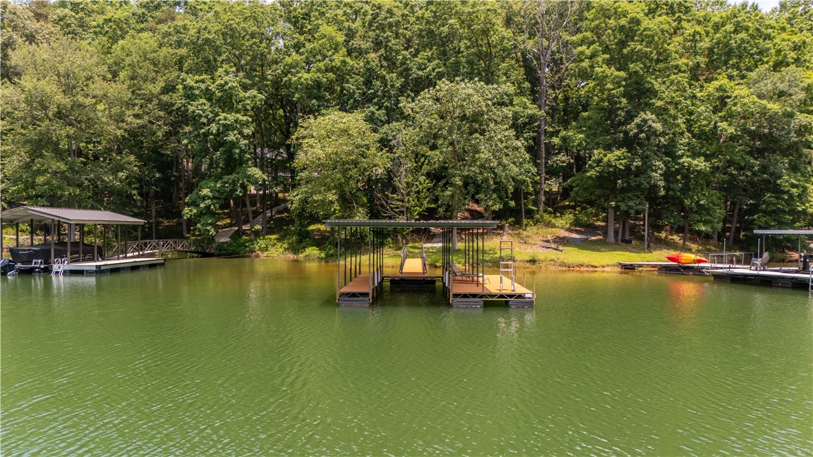 134 Rochester Road, Townville, South Carolina image 43