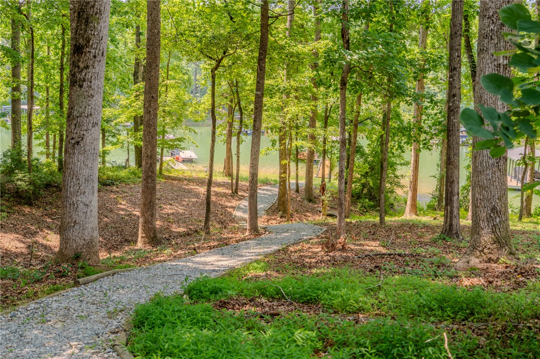 134 Rochester Road, Townville, South Carolina image 38