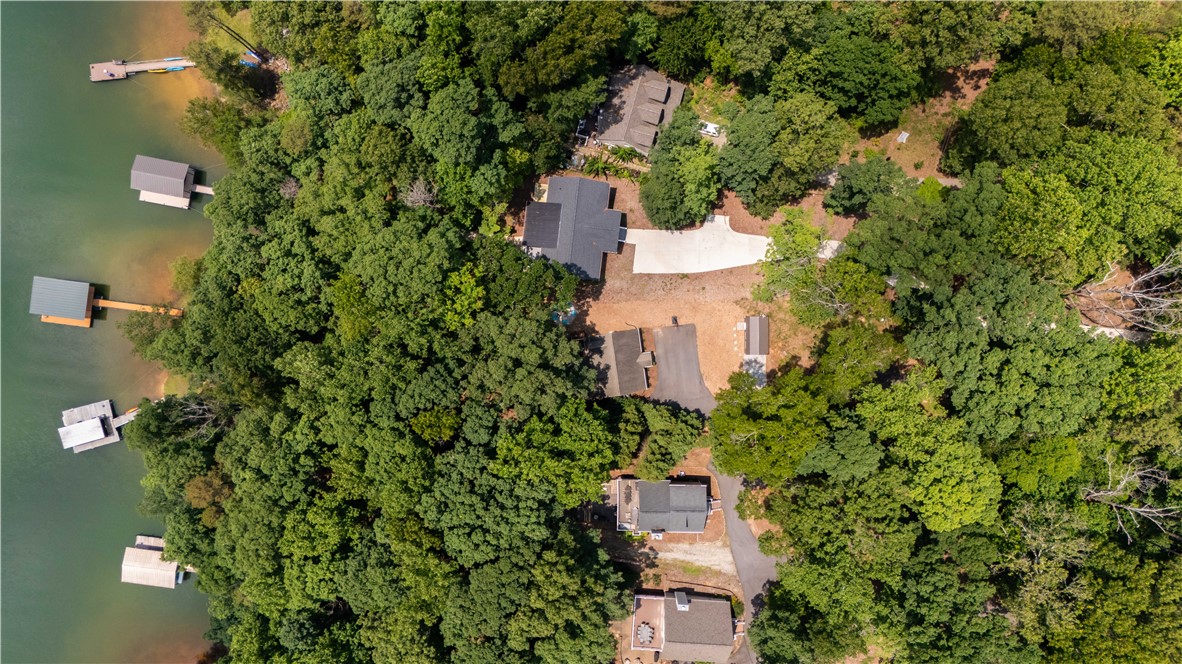 134 Rochester Road, Townville, South Carolina image 49