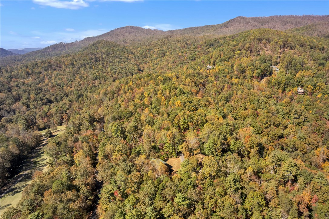 417 Whispering Falls Drive, Pickens, South Carolina image 29