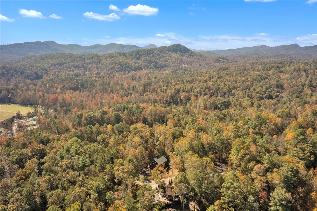 417 Whispering Falls Drive, Pickens, South Carolina image 30