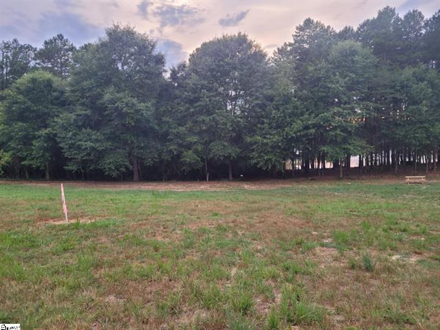 Oliver Road, Westminster, South Carolina image 5