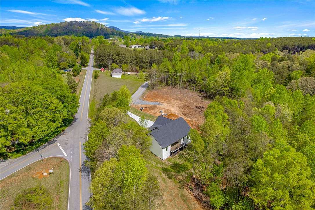 395 Mountainview Road, Landrum, South Carolina image 47