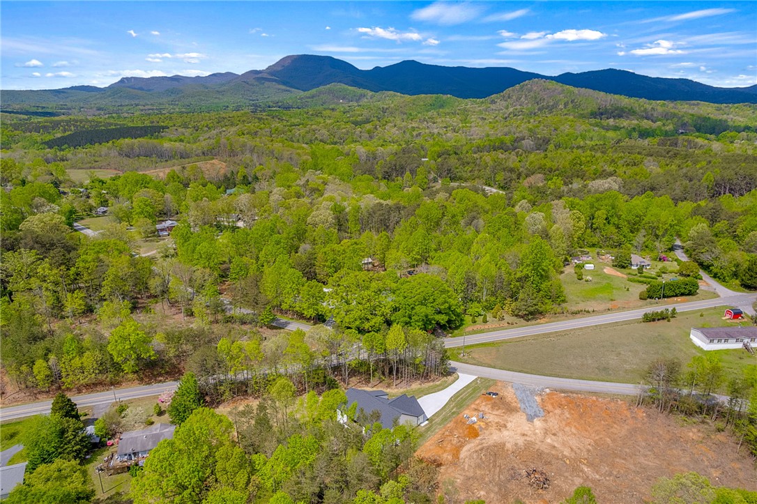 395 Mountainview Road, Landrum, South Carolina image 49