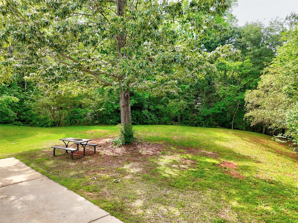205 Willow Leaf Drive, Seneca, South Carolina image 7
