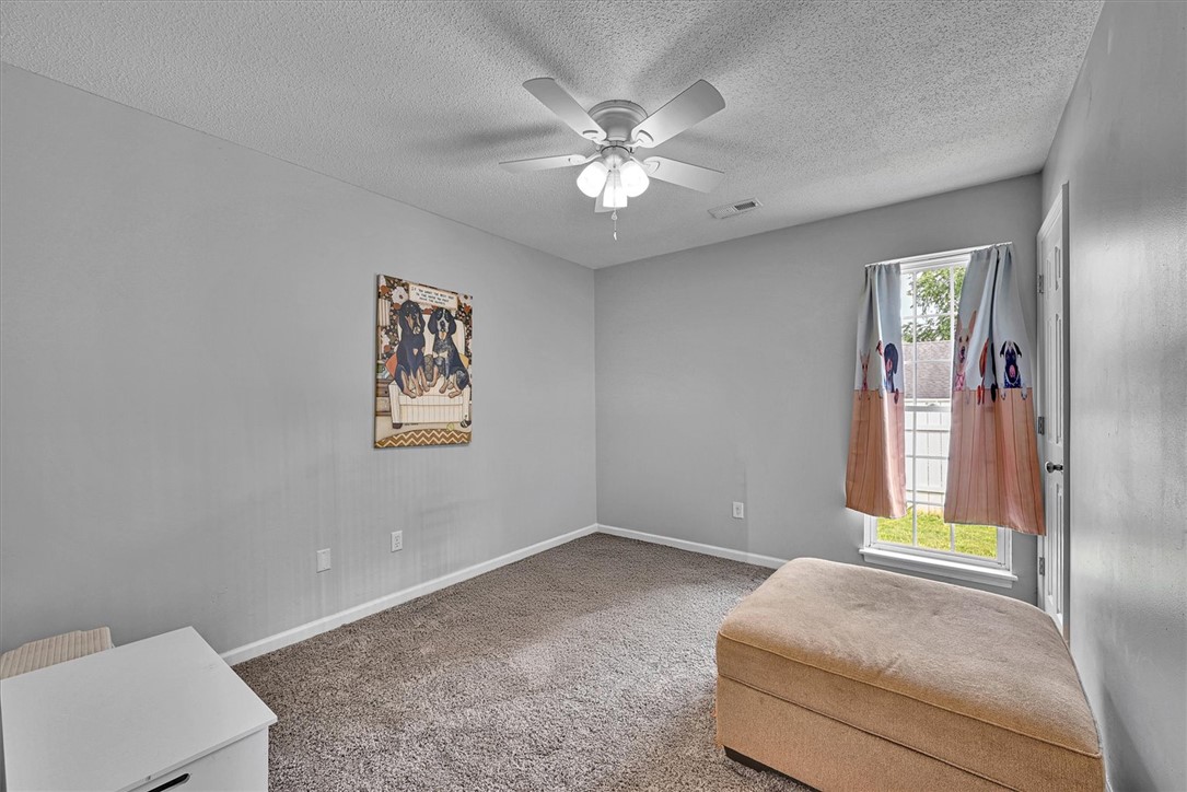 205 Willow Leaf Drive, Seneca, South Carolina image 25