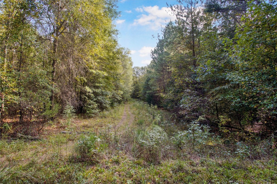 Craigo Road, Fountain Inn, South Carolina image 1