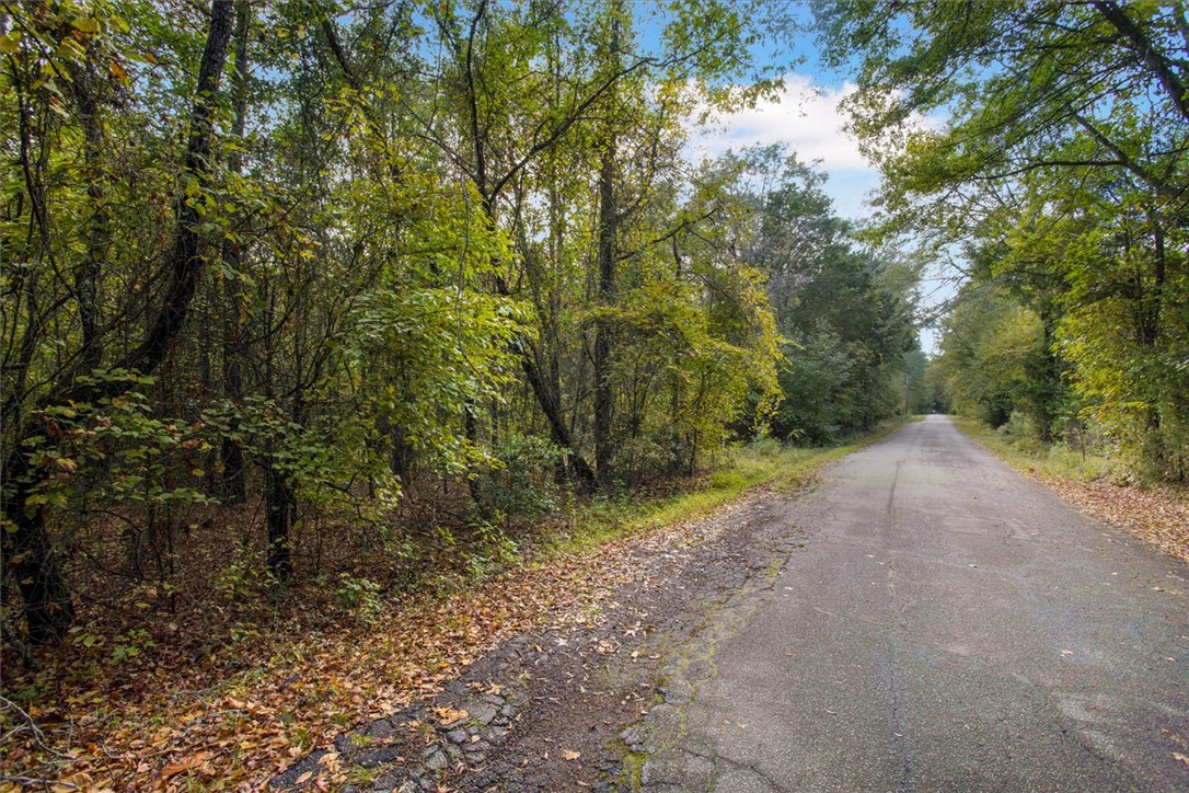 Craigo Road, Fountain Inn, South Carolina image 5