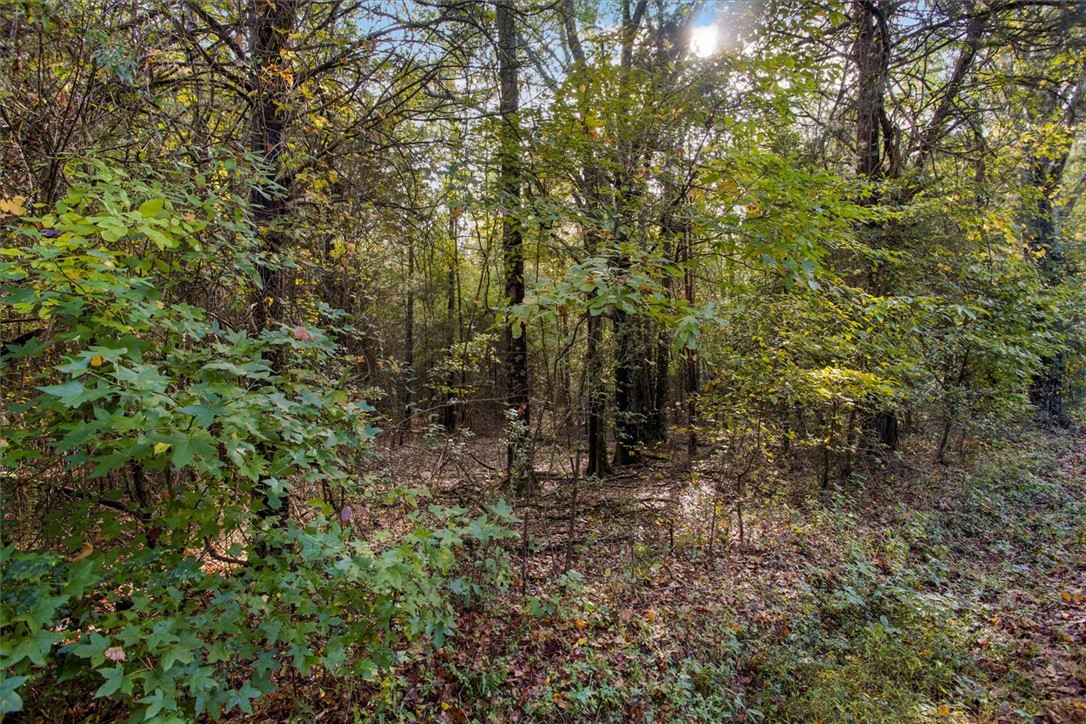 Craigo Road, Fountain Inn, South Carolina image 4