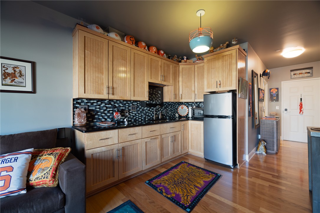 101 Oak Street #224, Clemson, South Carolina image 7