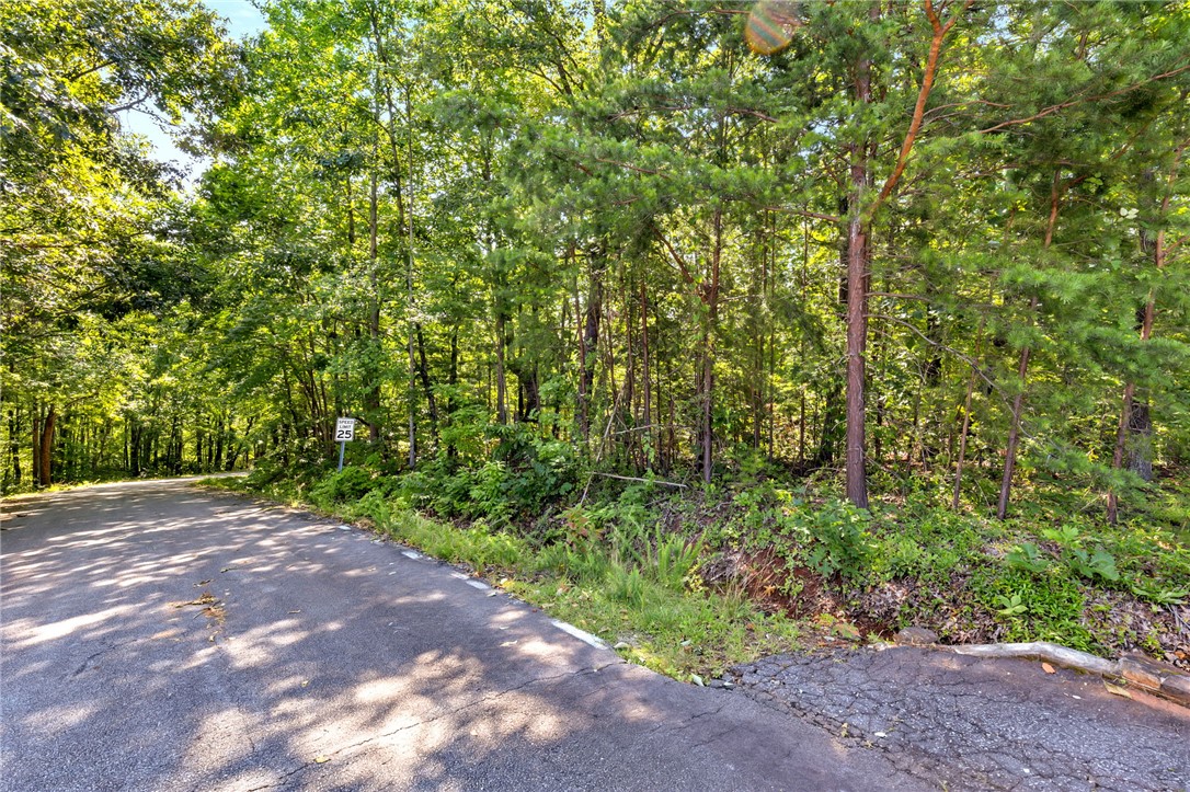 Pickens, South Carolina 29671, United States, ,Residential,Active,165605