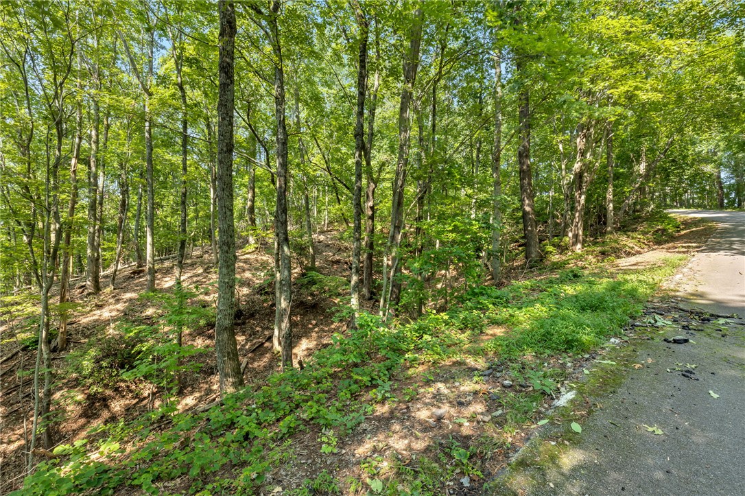 Pickens, South Carolina 29671, United States, ,Residential,Active,165605