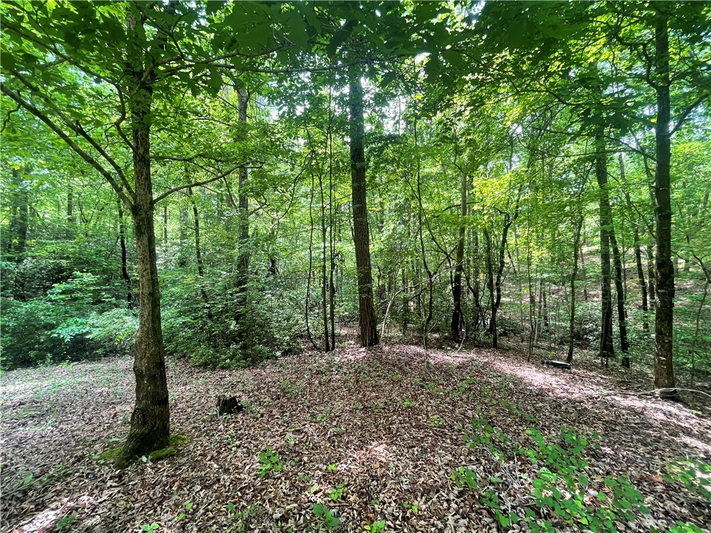 365 Rocky Knoll Road, Walhalla, South Carolina image 4