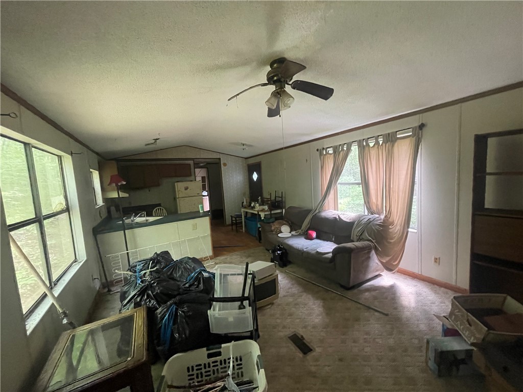 365 Rocky Knoll Road, Walhalla, South Carolina image 13