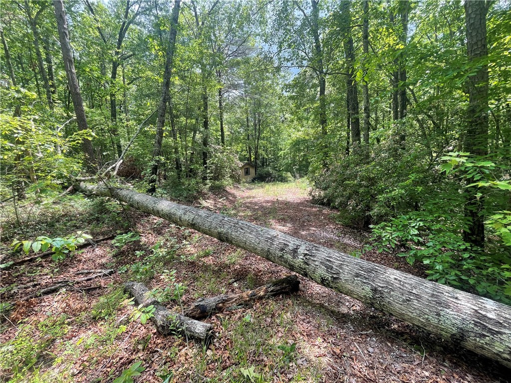 365 Rocky Knoll Road, Walhalla, South Carolina image 9