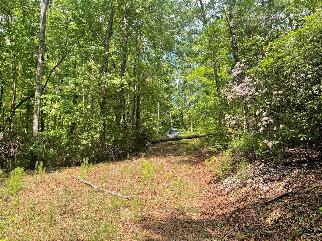 365 Rocky Knoll Road, Walhalla, South Carolina image 10