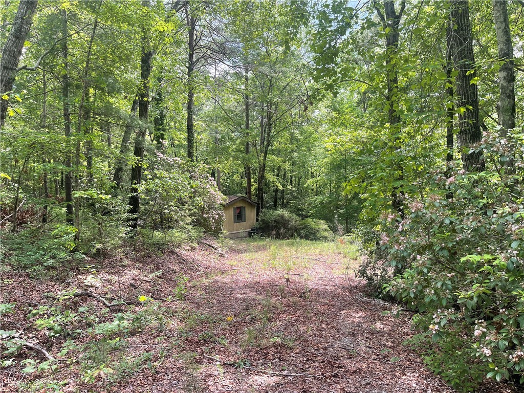 365 Rocky Knoll Road, Walhalla, South Carolina image 20