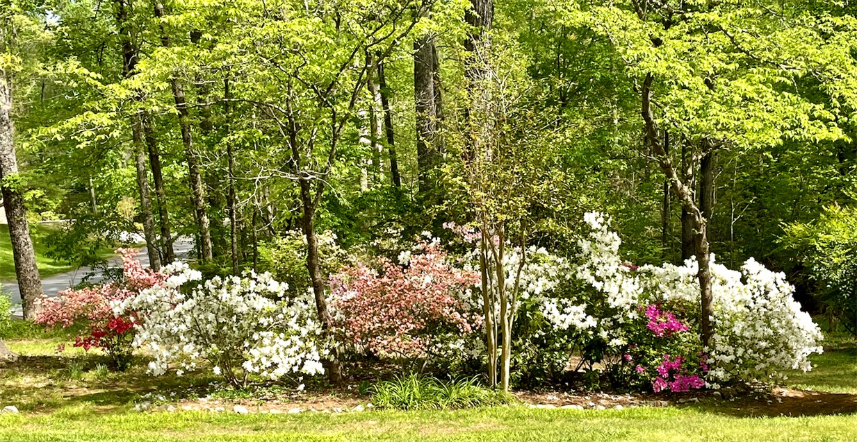 108 Spring Valley Road, Pickens, South Carolina image 48