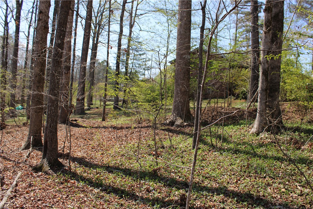 108 Spring Valley Road, Pickens, South Carolina image 45