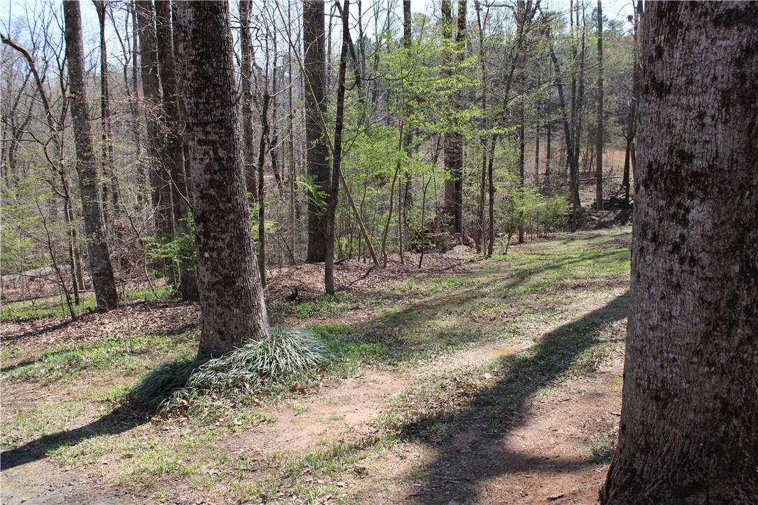 108 Spring Valley Road, Pickens, South Carolina image 44