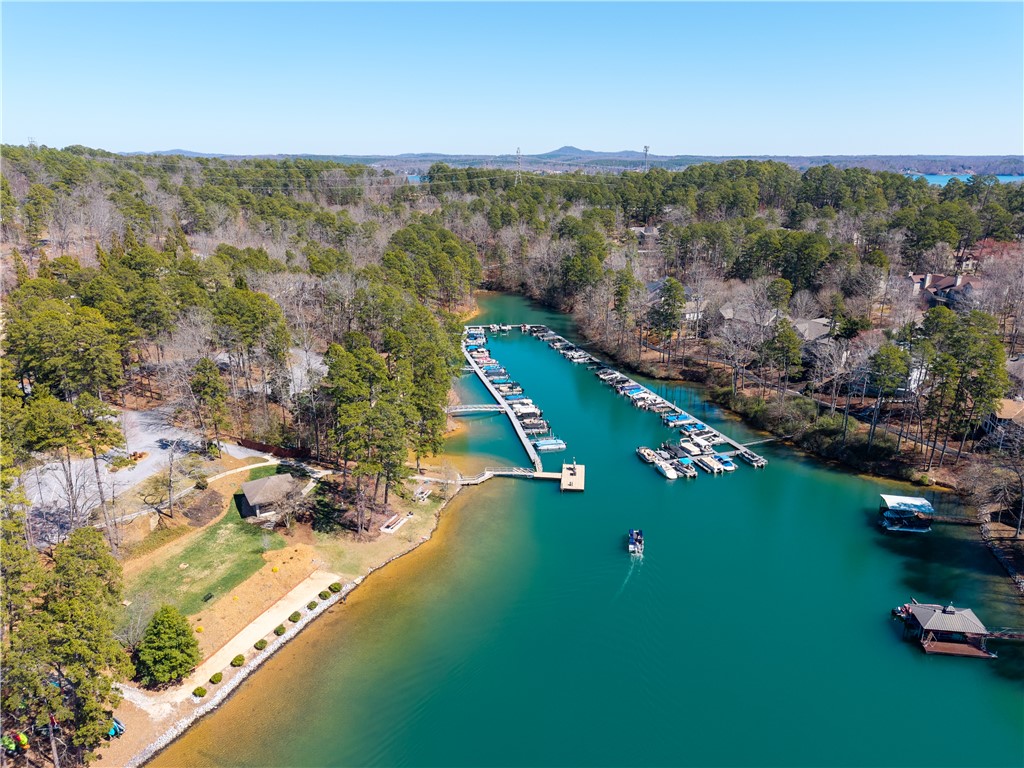 6 Marina View Circle, Salem, South Carolina image 47