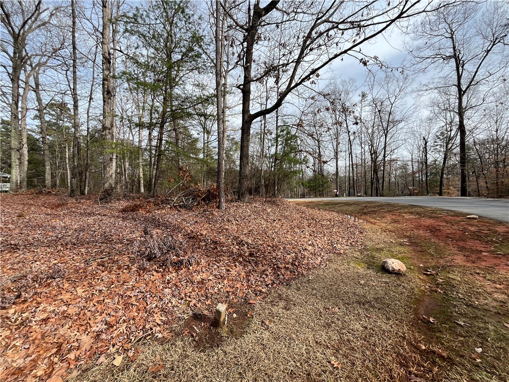 00 Pintail Road, Anderson, South Carolina image 1
