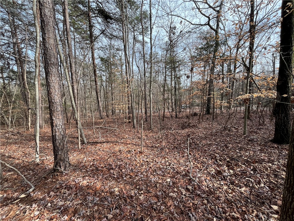 00 Pintail Road, Anderson, South Carolina image 4