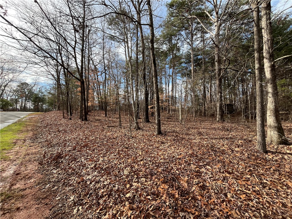 00 Pintail Road, Anderson, South Carolina image 2