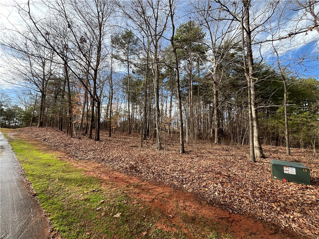 00 Pintail Road, Anderson, South Carolina image 6