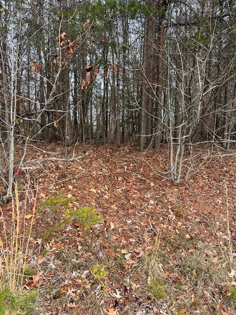 Photo for 000 Chickasaw Drive