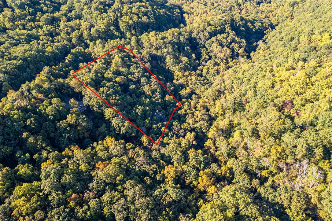 Landrum, South Carolina 29356, United States, ,Land,Active,232314