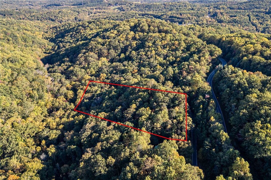 Landrum, South Carolina 29356, United States, ,Land,Active,232314