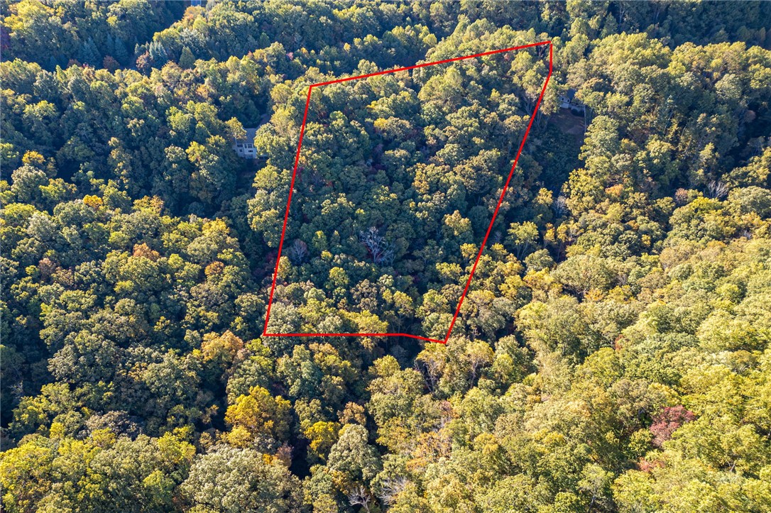 Landrum, South Carolina 29356, United States, ,Land,Active,232314